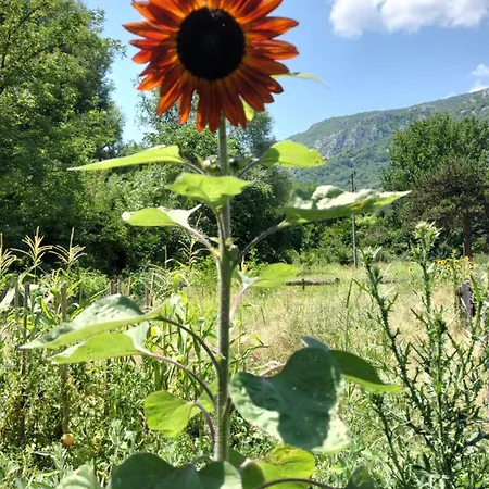 Nyaraló Corazon, One Of A Kind Mill With Speechless Mountain View!