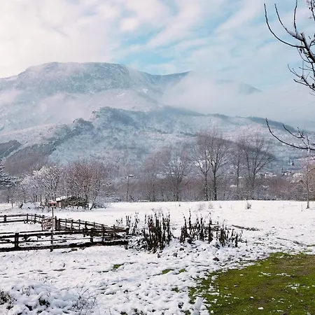 Ferienhaus Corazon, One Of A Kind Mill With Speechless Mountain View! Mizara