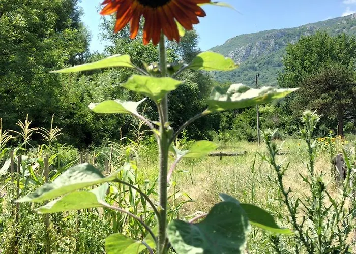 Nyaraló Corazon, One Of A Kind Mill With Speechless Mountain View!